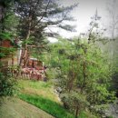 금주산방 까사 펜션 | 포천펜션 금주산방까사 펜션 -나만의보물같은곳