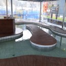 금암2길 이미지