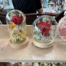 블루밍 플라워 앤 가든 이미지