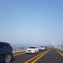 천사(1004)섬 여행사