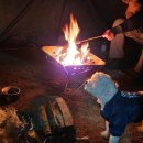 위드독스 | 위드독스 인 포천 / 개별 울타리 캠핑장 오프리쉬가능 포천 애견 캠핑장