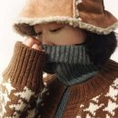 N113 이미지