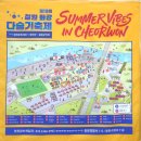 내고향다슬기 | 철원 화강 다슬기축제 꿀팁대방출(황금다슬기 잡기, 물놀이, 주차, 티켓)+은다슬기 잡았어요!