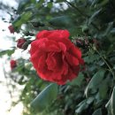 우장산동 이미지