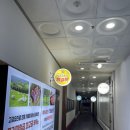 중앙동263 이미지