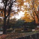 명가교동짬뽕 이미지