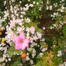 부천극동아파트 이미지