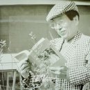 서광인쇄소 | 현대문학 테마 77. 해방 이후의 희곡 문학 : 오영진, 차범석, 천승세