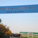 평택중앙초등학교 이미지