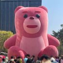 핑크벨리 이미지