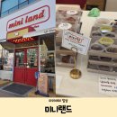미니랜드 | 운정 디저트 맛집 디저트 카페 운정 두쫀쿠 버터떡 파는 곳 [미니랜드] 내돈내산 후기