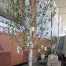 제남아동센터 | 2012 세계자연보전총회 D-200일 행사 참여 후기