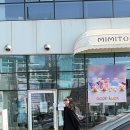 오늘맑음세차장 | ③3월일상)나의 소울메이트 커피와 하루하루 그리고 봄날☕️✨🍀