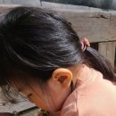 초심산방 | 초심산방. 경주 진짜 한옥펜션 후기..