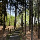 성남도서관 | 김애란 작가 강연회 후기 성남중앙도서관