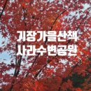 대라리헐타시장통닭 이미지
