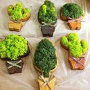 법원읍행정복지센터 이미지