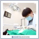 연세정치과의원 이미지