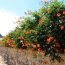 수로왕릉 이미지