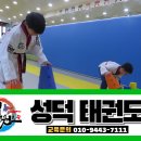 성덕태권도 이미지