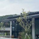 [포항 브런치 카페]/파르노 :: 가보고싶던 이동카페 방문후기