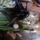 공단이용소 이미지