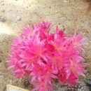 밀양시농업기술센터 이미지