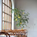 세화주유소 | 🚗 제주도렌트카 예약, 처음이라면 꼭 읽어보세요!