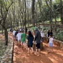 월아산 숲속의 진주 이미지