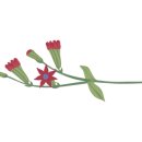 청주중학교 이미지