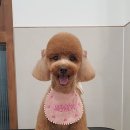 두나의 하루 이미지