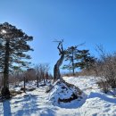 초사 2월 정기산행(태백산) 1 이미지