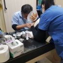 화신종합동물병원 이미지