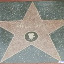 필립 philip 이미지
