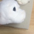 탄리로95번길 이미지