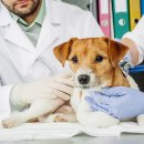 라이프동물병원 이미지