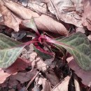 소양강둘레길 1코스 이미지