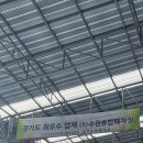 수원종합폐차장 | [수원종합폐차장/수원폐차장추천] 죄니차 폐차한 후기