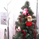 (주)온앤온 | 대전 둔산동 웨딩네일 추천 신부 맞춤 웨딩촬영 네일샵 온앤온네일