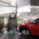 초이세차장 네이버블로그