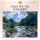 [📍꼬꼬요꿀꿀이] | 물놀이하면서 밥 먹는 식당 | 비슬산 계곡 식당 | 현풍 계곡 식당 | 대구 아이와 가...