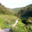 광우농장 이미지