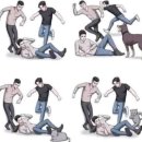 강아지랑 고양이 이미지