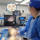 칼스톨츠엔도스코피코리아(유) 이미지