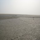 신안 태양광발전소 이미지