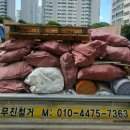 커몽도그 이미지