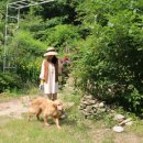 하늘플라워 이미지