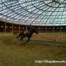 안산승마클럽 이미지