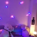 미트업 | 대전 태평동 파티룸 추천｜고기 맛집 미트업(Meat Up) 후기