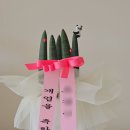 로지 데이즈